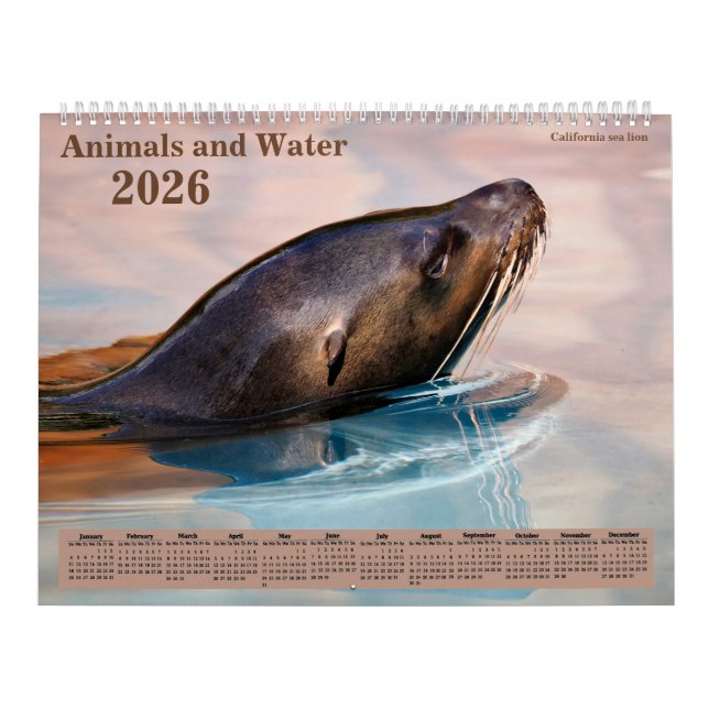 Calendário 14 photos os animals and water (Capa)