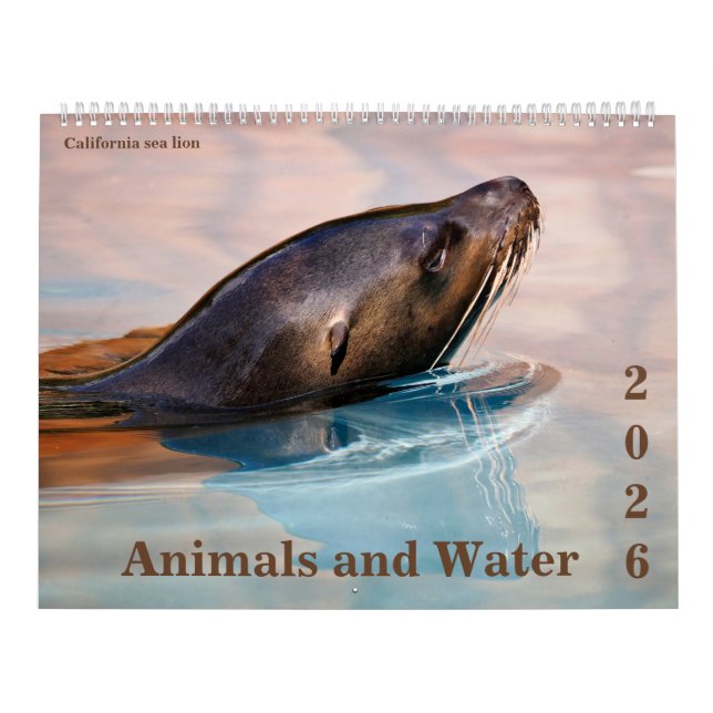 Calendário 14 photos os animals and water (Capa)