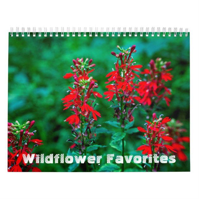 Calendário #1 de Favoritos do Wildflower (Capa)
