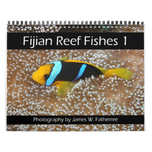 Calendário 1 dos Peixes de Recifes Fijianos