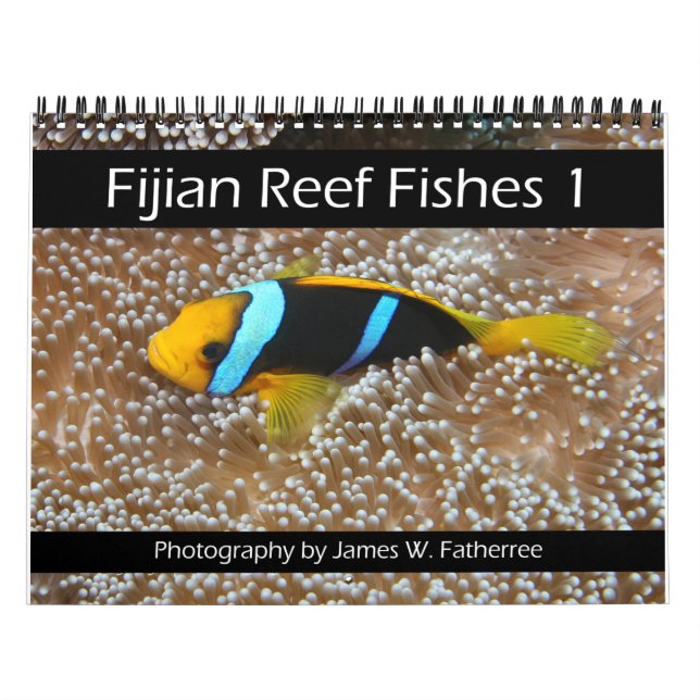 Calendário 1 dos Peixes de Recifes Fijianos (Capa)