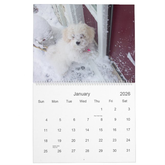 Calendário 2007 de Muffie (Jan 2026)