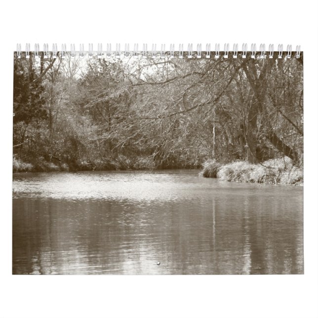 Calendário 2008 (Capa)