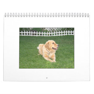 Calendário 2008 de Mack