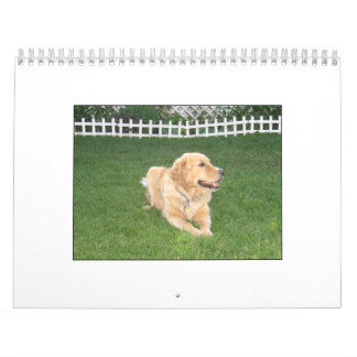 Calendário 2008 de Mack