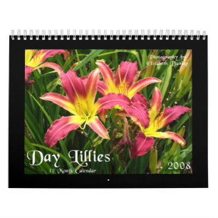 Calendário 2008 do lírio de dia