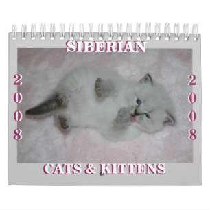 Calendário 2008 manutenção programada Siberian dos gatos