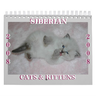 Calendário 2008 manutenção programada Siberian dos gatos
