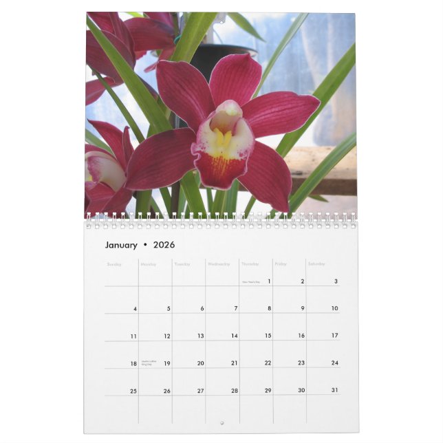 Calendário 2008 um ano de orquídeas (Jan 2026)