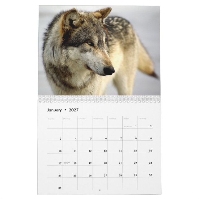 Calendário 2009 (Jan 2027)