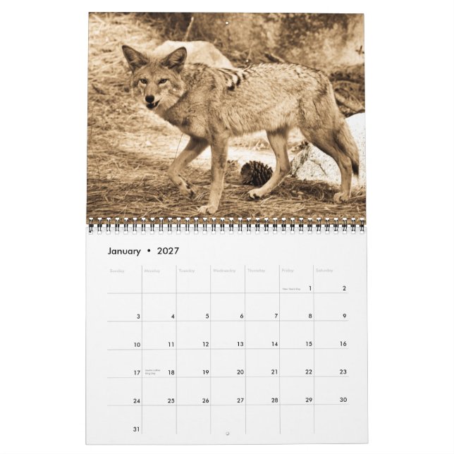 Calendário 2009 (Jan 2027)