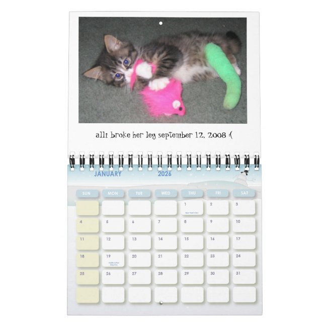 Calendário 2009-2010 do dia de Alli mini (Jan 2026)