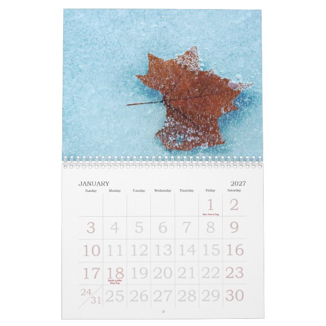 Calendário 2009 da fotografia da natureza (Jan 2027)