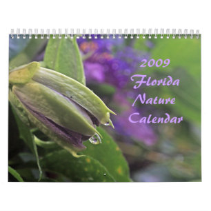 Calendário 2009 da natureza de Florida