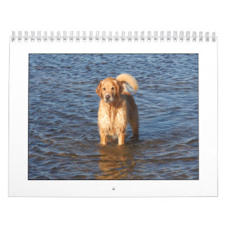 Calendário 2009 de Mack