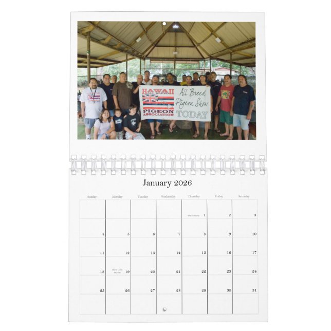 Calendário 2009 do pombo (Jan 2026)