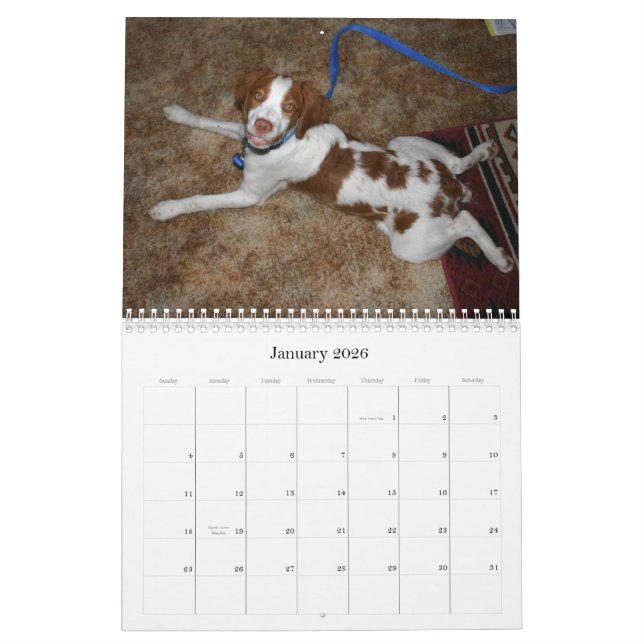 Calendário 2009 dos filhotes de cachorro de (Jan 2026)