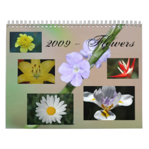 Calendário 2009 - Flores