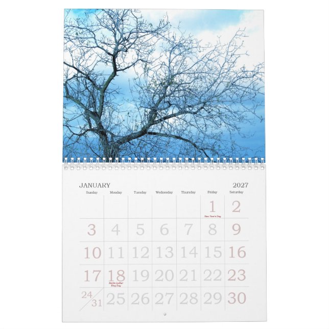 Calendário 2009 por pouco pixel cinzento (Jan 2027)