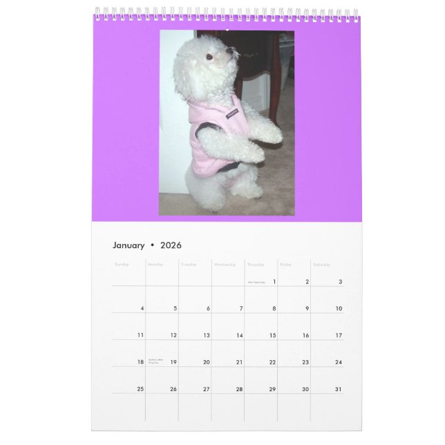 Calendário 2010 (Jan 2026)