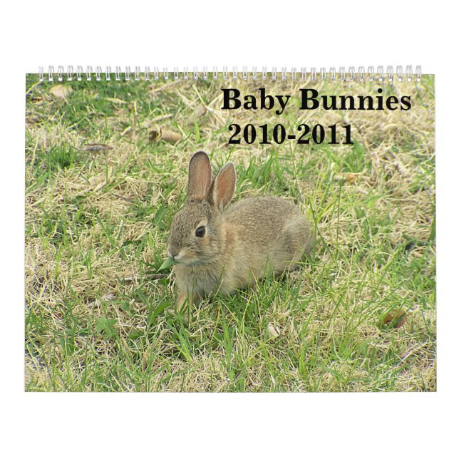 Calendário 2010-2011 do coelho do bebê (Capa)