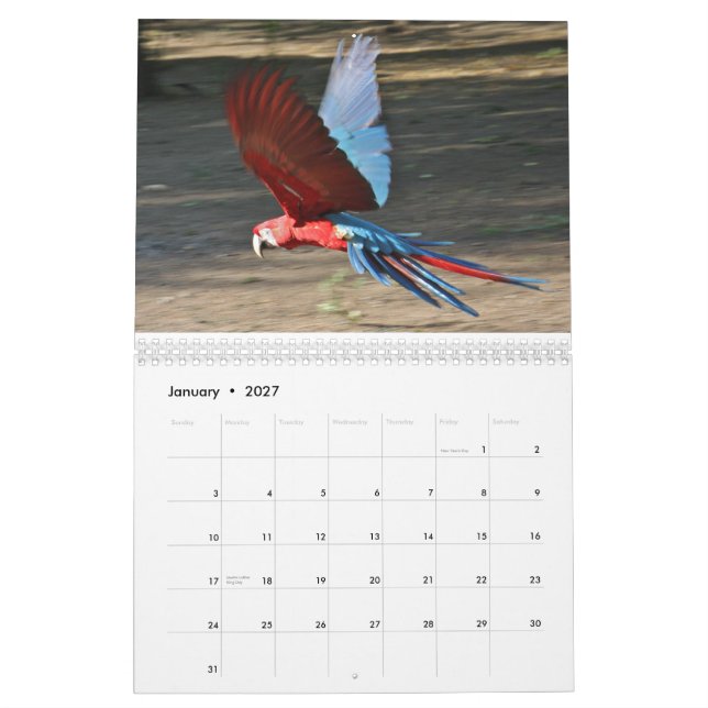 Calendário 2010 calendário, pássaros de Brasil (Jan 2027)