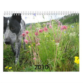 Calendário 2010 da natureza