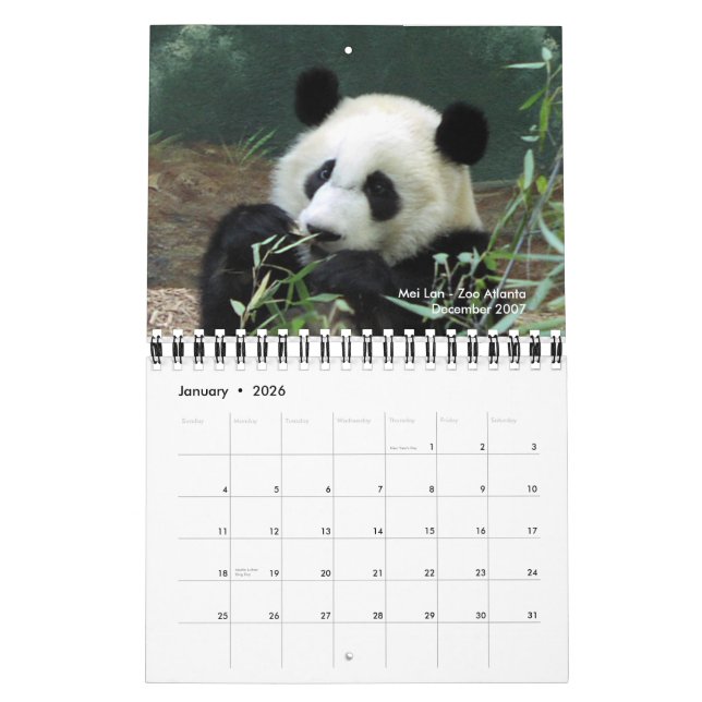 Calendário 2010 da panda (Jan 2026)