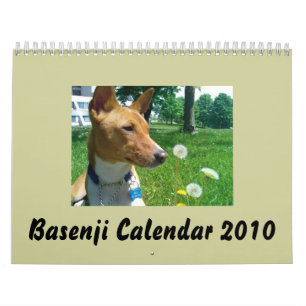 Calendário 2010 de Basenji