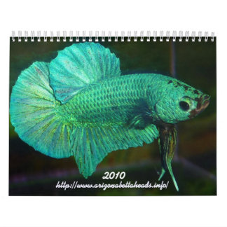 Calendário 2010 de Betta