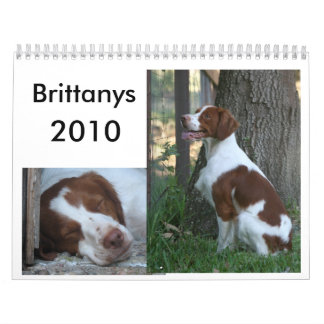 Calendário 2010 de Brittany