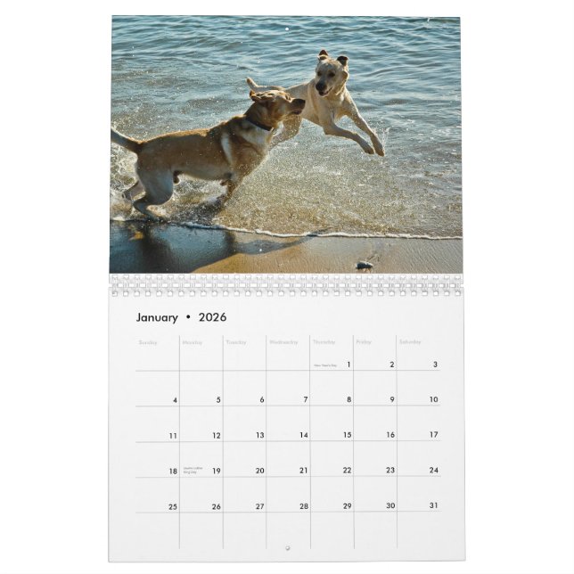 Calendário 2010 de Oceandoggy (Jan 2026)