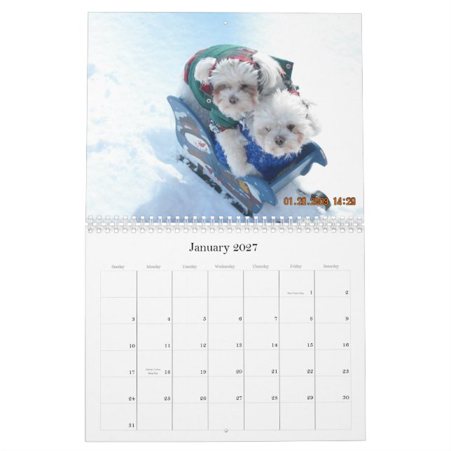 Calendário 2010 de Pawfile do cão (Jan 2027)