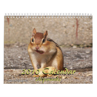 Calendário 2010 do Chipmunk