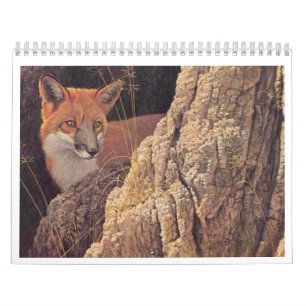 Calendário 2010 do Fox