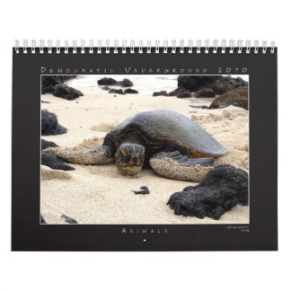 Calendário 2010 do grupo da fotografia do DU