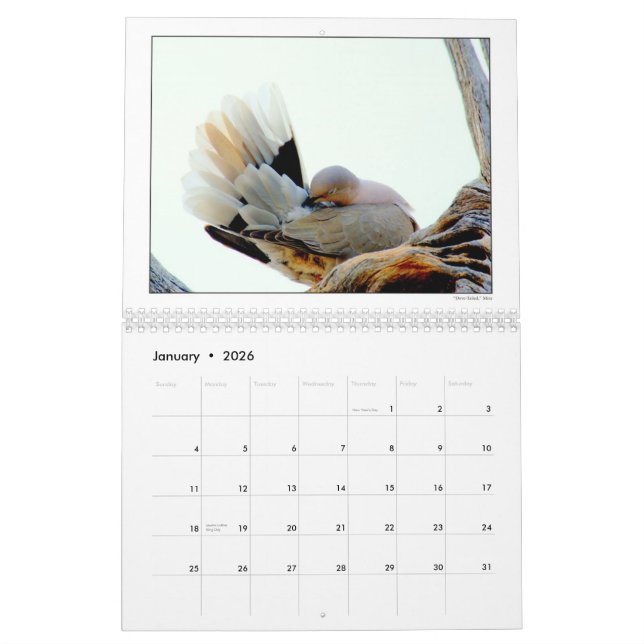 Calendário 2010 do grupo da fotografia do DU (Jan 2026)