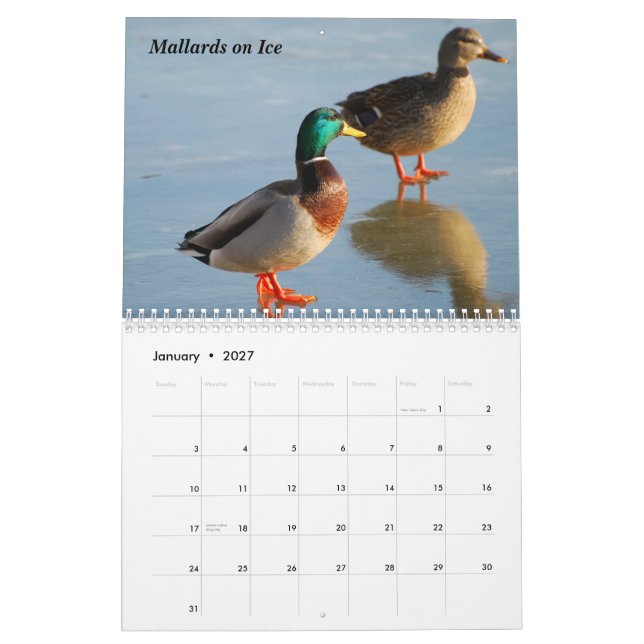 Calendário 2010 do pássaro (Jan 2027)