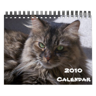 Calendário 2010 do racum de Maine