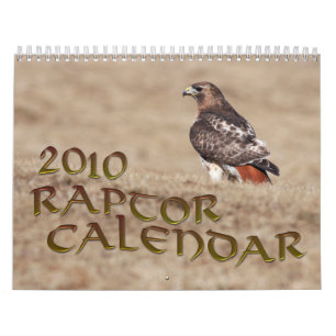 Calendário 2010 do raptor