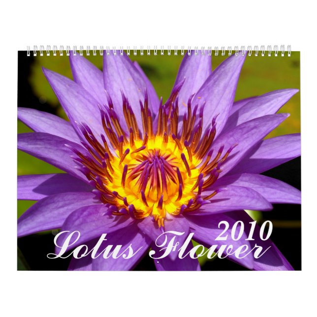 Calendário 2010, flor de Lotus (Capa)