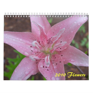 Calendário 2010 flores