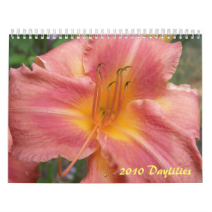 Calendário 2010 hemerocallis