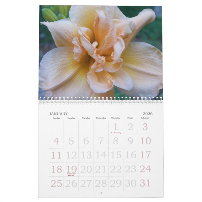 Calendário 2010 hemerocallis (Jan 2026)