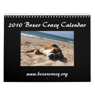 Calendário 2010 louco do pugilista