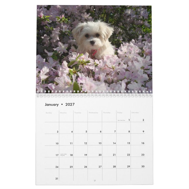 Calendário 2010 maltês (Jan 2027)