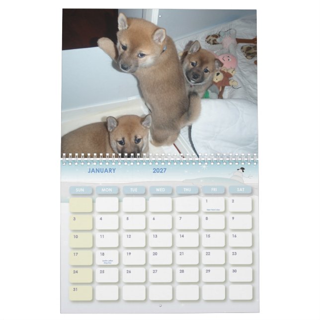 Calendário 2010 o ano do Shiba (Jan 2027)