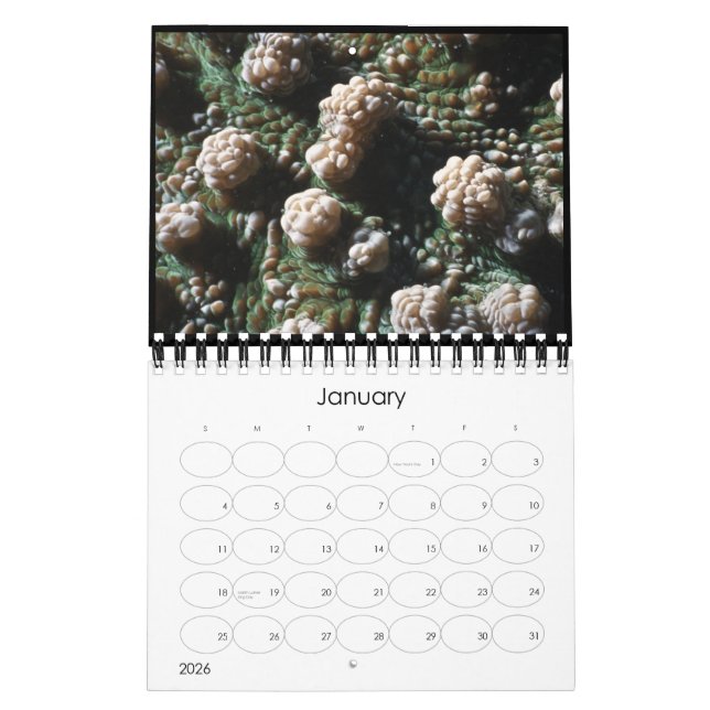 calendário 2010 subaquático (Jan 2026)