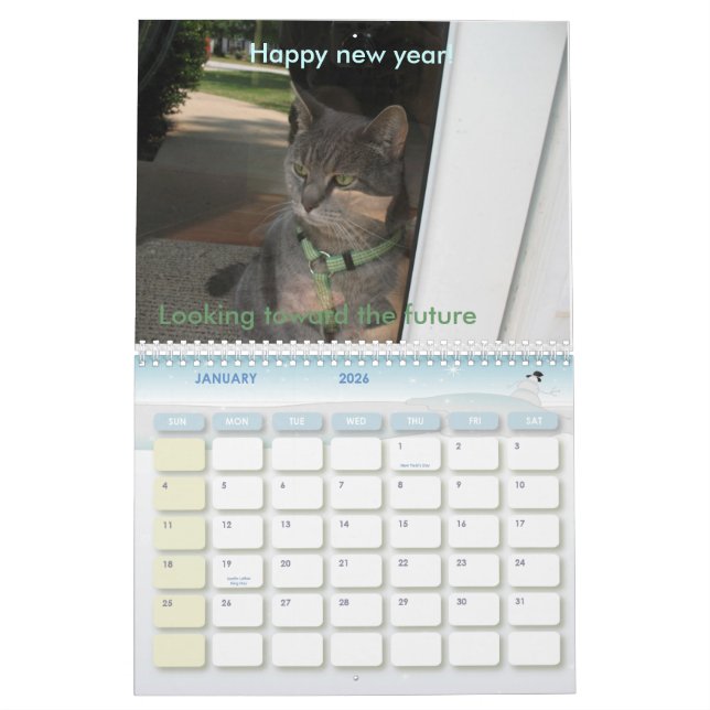 Calendário 2010: Um ano com gatos (Jan 2026)