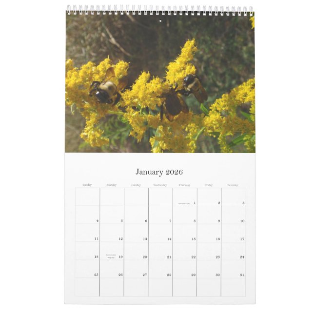 Calendário 2011 (Jan 2026)